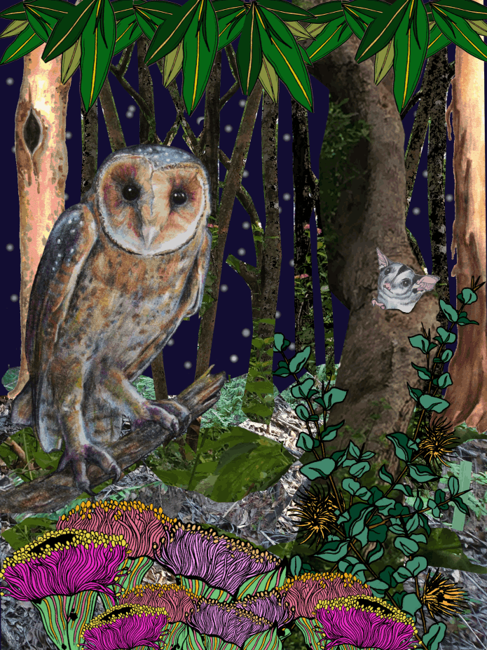 Be careful of the Masked Owls - Abi Andrews