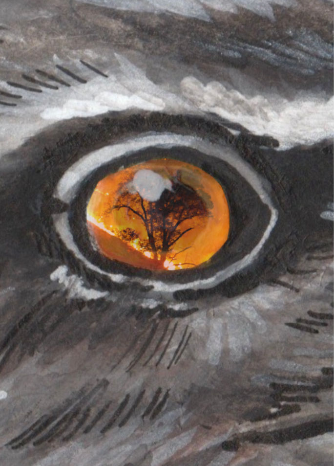 The Marbled Frogmouth tells of the fires - Abi Andrews