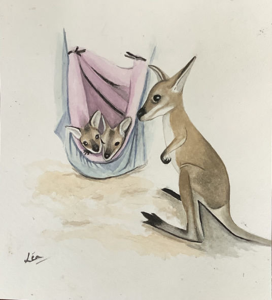 Wallaby joeys in care - Lea Guillot